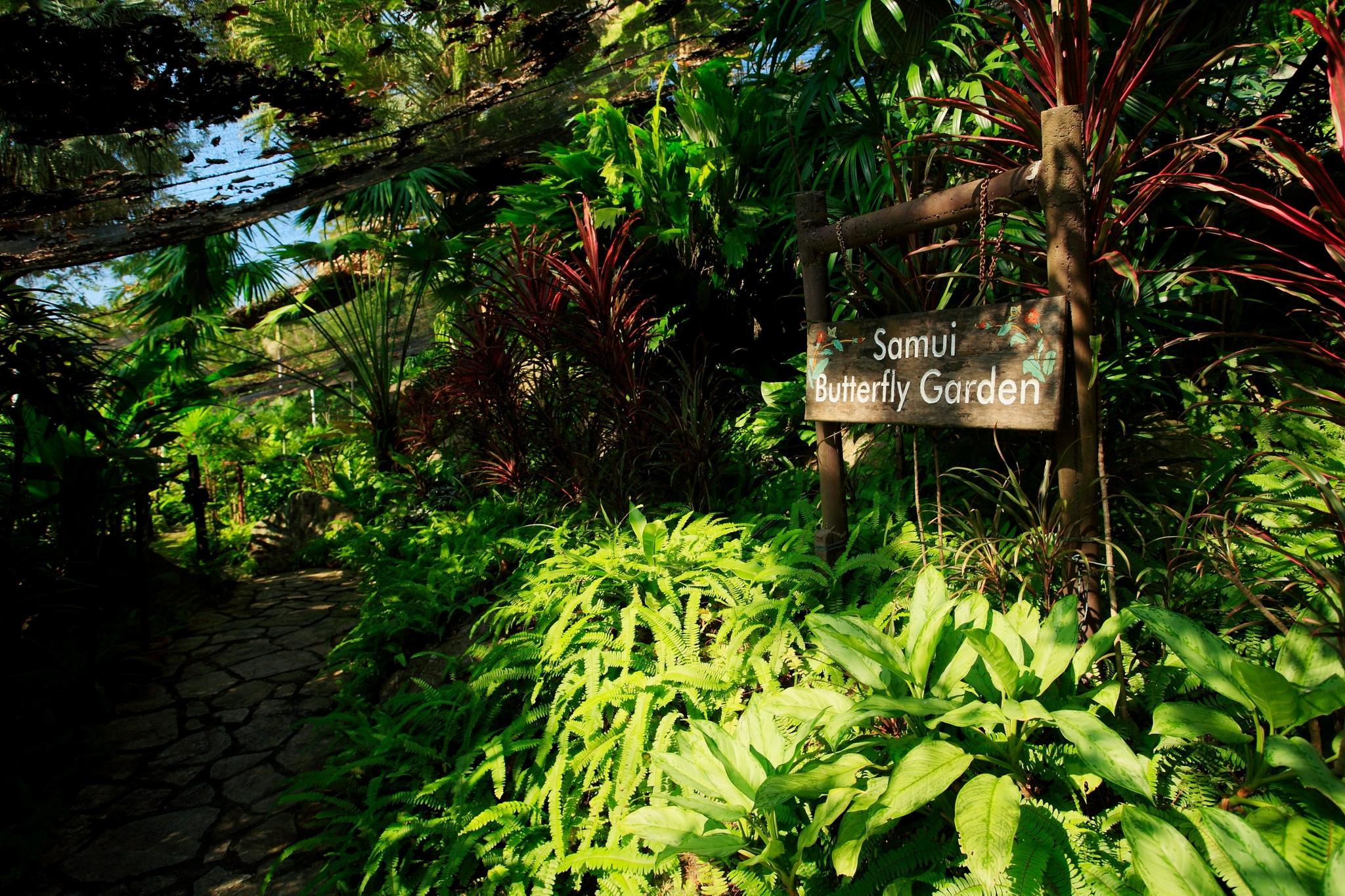 Centara Villas Samui - SHA Plus Lamai Beach (Koh Samui) Exterior foto